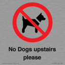 no-dogs-upstairs-please-~